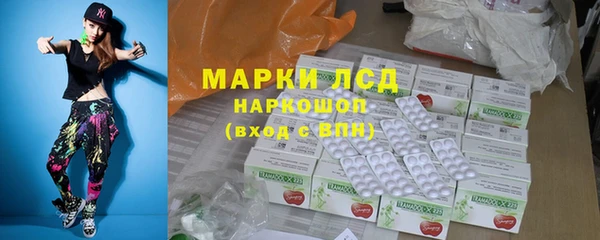 ешки Аркадак
