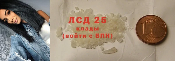 ешки Аркадак