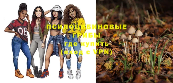 ешки Аркадак