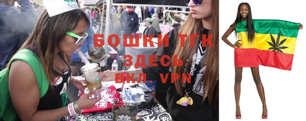 ПСИЛОЦИБИНОВЫЕ ГРИБЫ Армянск
