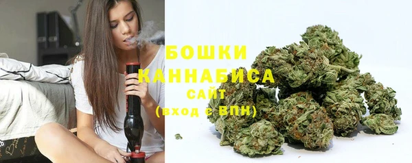 ешки Аркадак