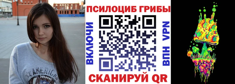 Псилоцибиновые грибы Cubensis  Купить  Гороховец 